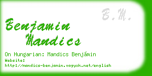 benjamin mandics business card